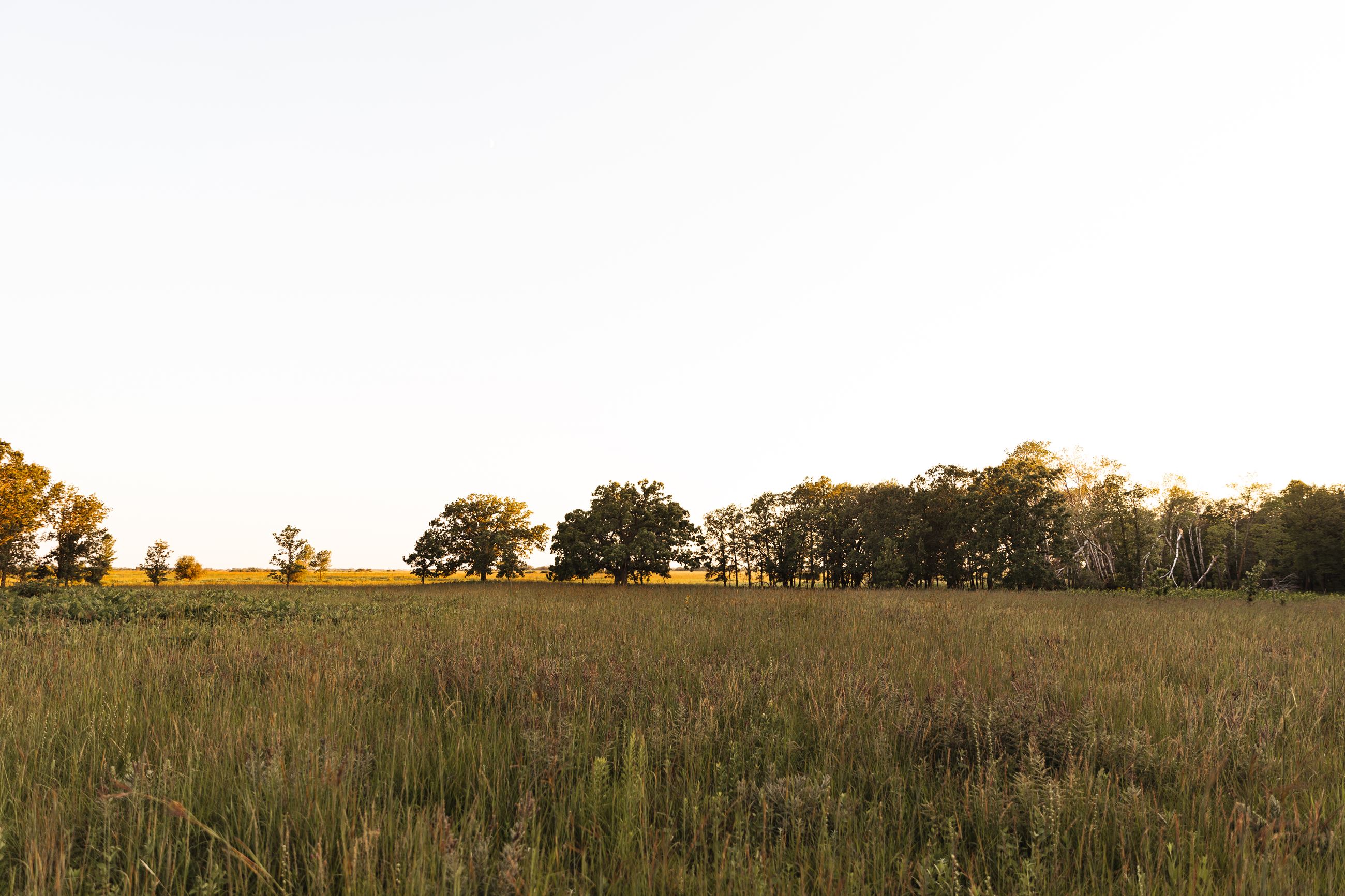 633A4849 Opens in new window