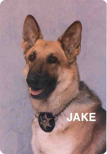 K-9 Jake